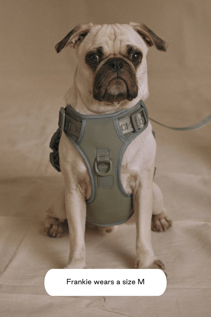 Maxbone - Easy Fit Dog Harness (Sage)