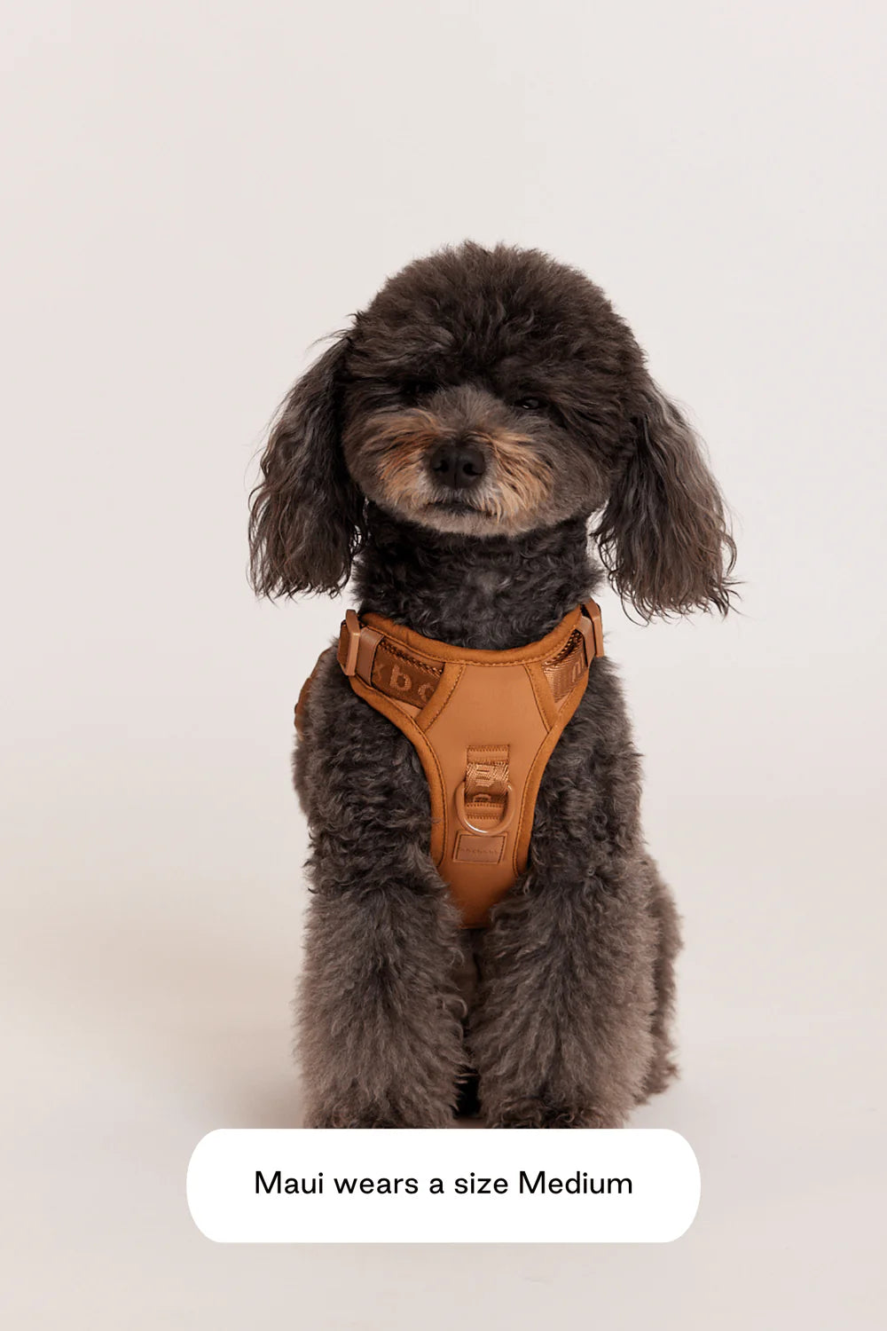 Maxbone - Easy Fit Dog Harness (Camel)
