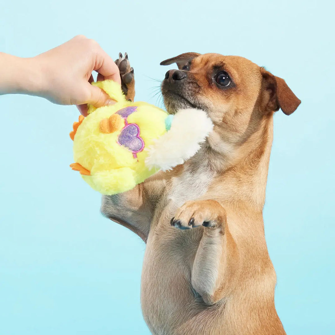 Dog Toy: BARK Hot Chick Plush