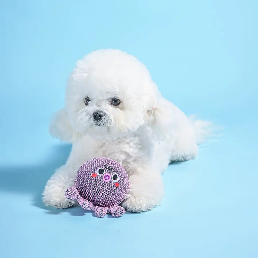 Dog Toy: Octopus Ball