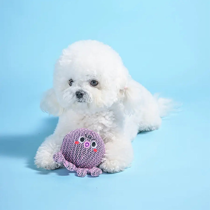 Dog Toy: Octopus Ball