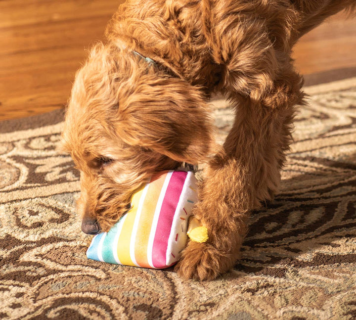Birthday 5-Layer Cake Plush Dog Toy