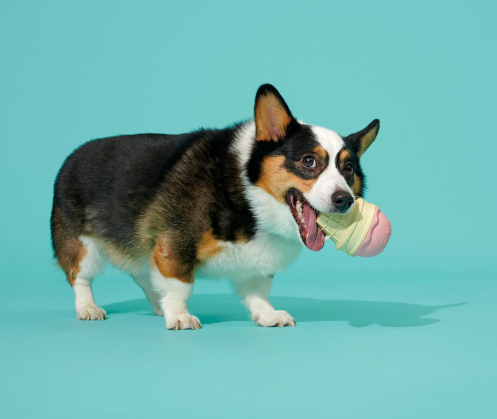 Dog Toy: BARK I-Squeak Cone Super Chewer