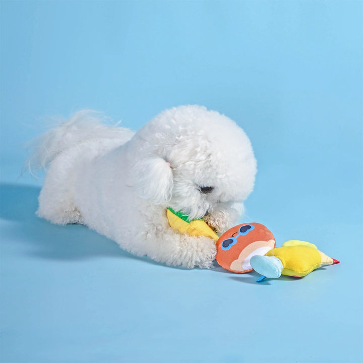 Dog Toy: Pina Cola