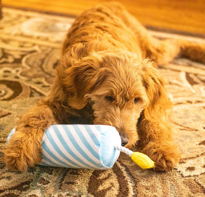Birthday Candle Dog Toy - Blue