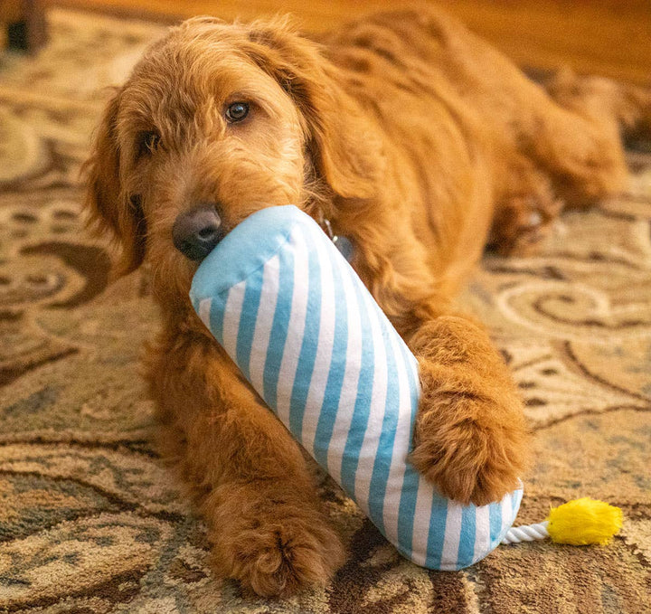Birthday Candle Dog Toy - Blue