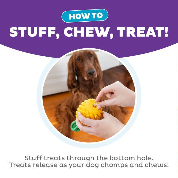Planet Dog - Dental Pineapple Dog Chew Toy