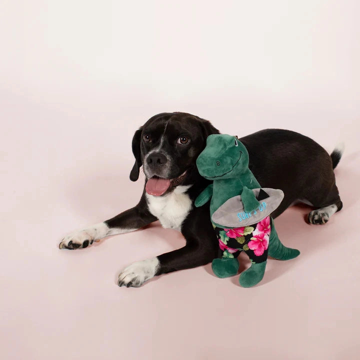 Surfer Rex Dog Toy