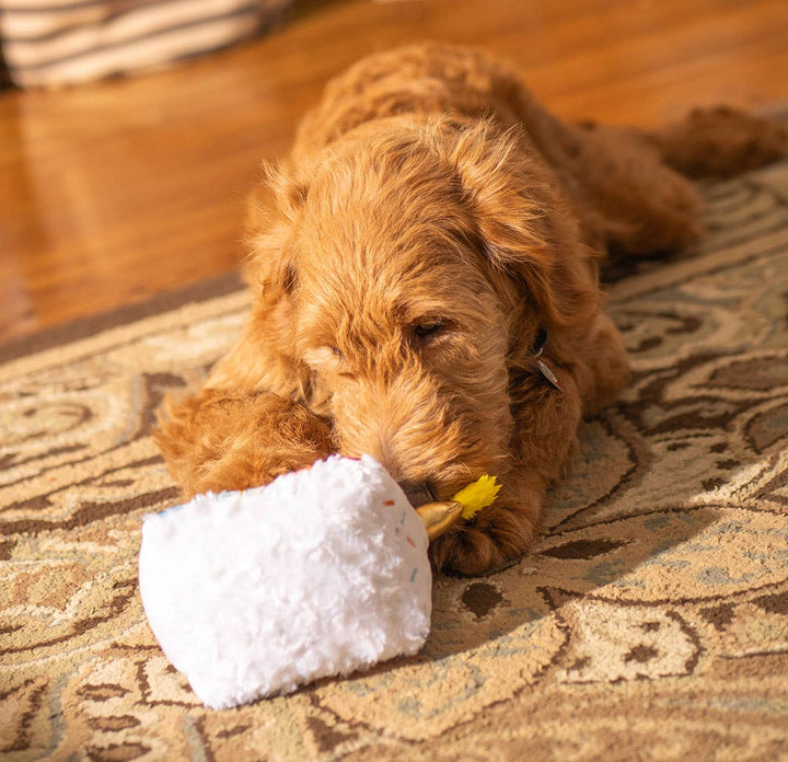 Birthday 5-Layer Cake Plush Dog Toy
