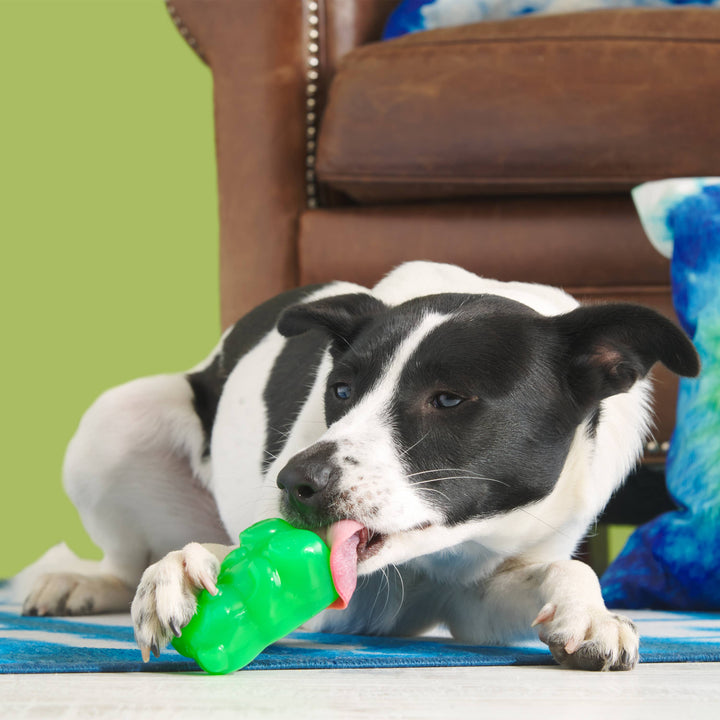 BARK - Super Chewer Munchie The Bear Dog Toy