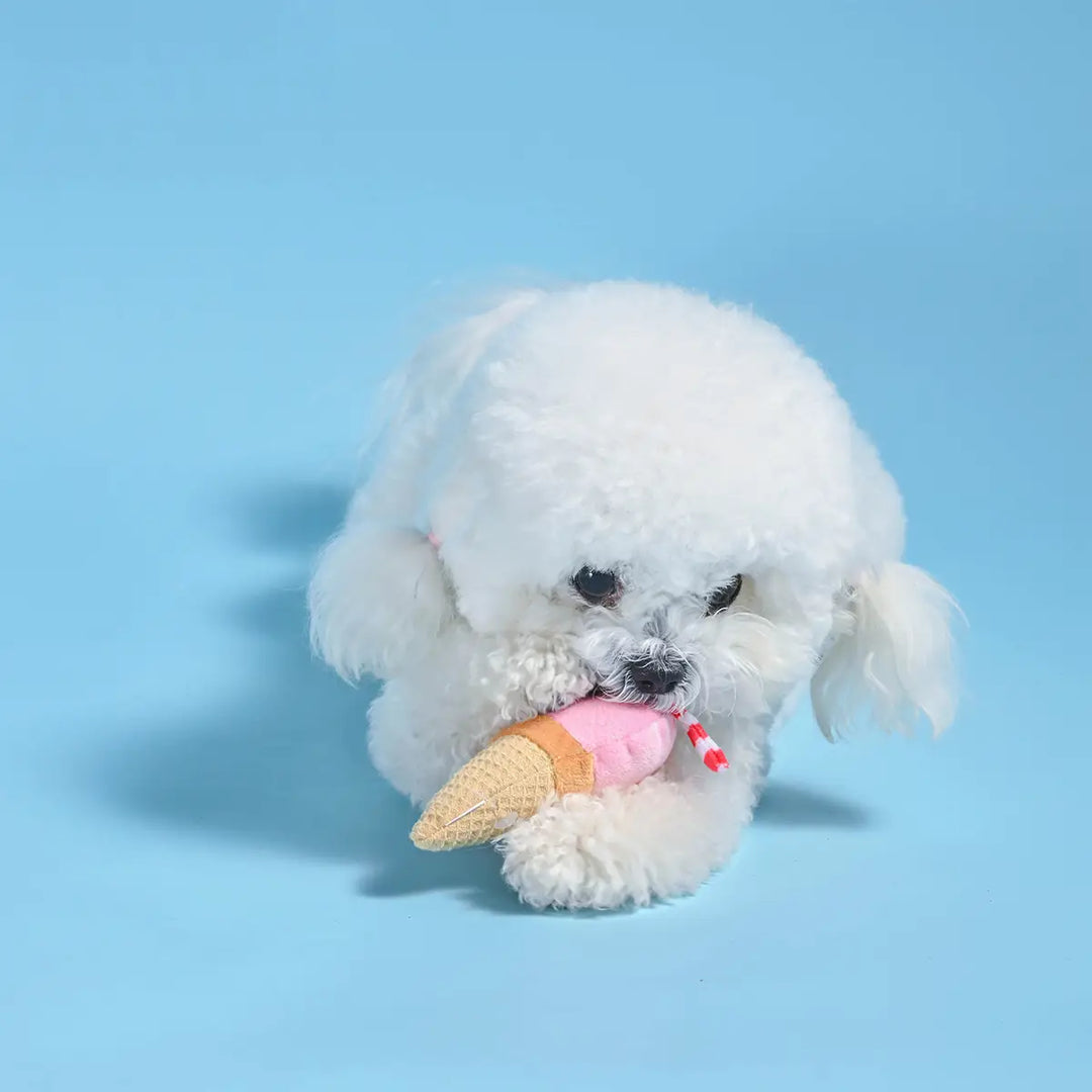 Dog Toy: Cool Pup