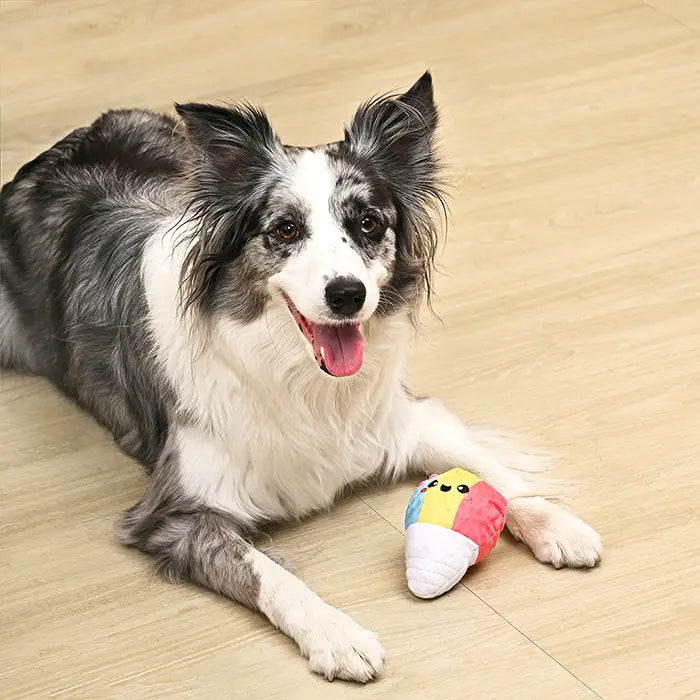 Dog Toy: Shaved Ice Plush