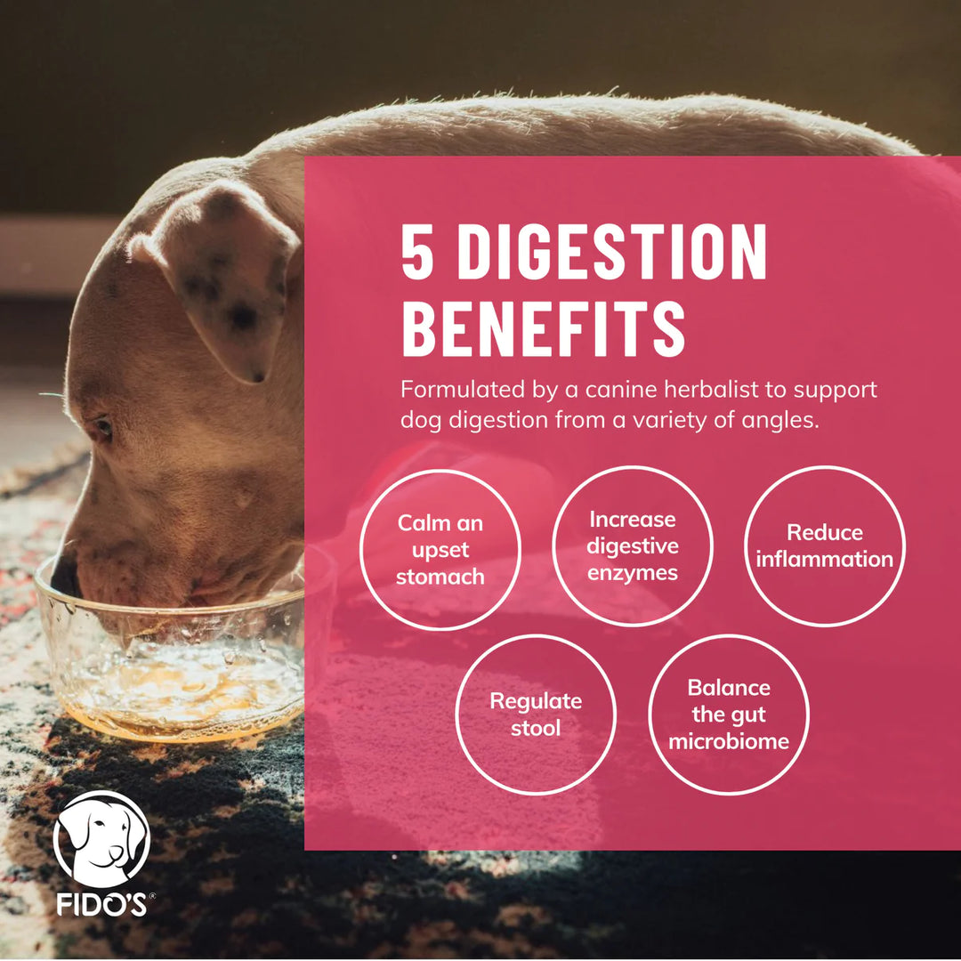 Fido's Dehydrated Bone Broth - Digestion