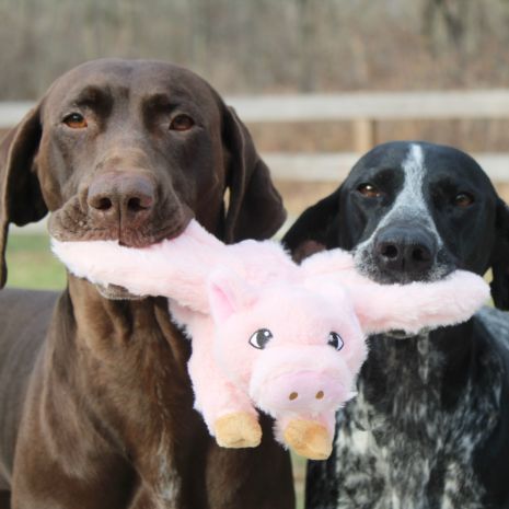 Dog Toy: Flying Pig Plush 12"