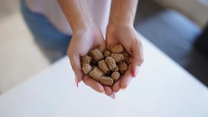Steve's Real Food: Freeze-Dried Dog Food - Beef 20oz