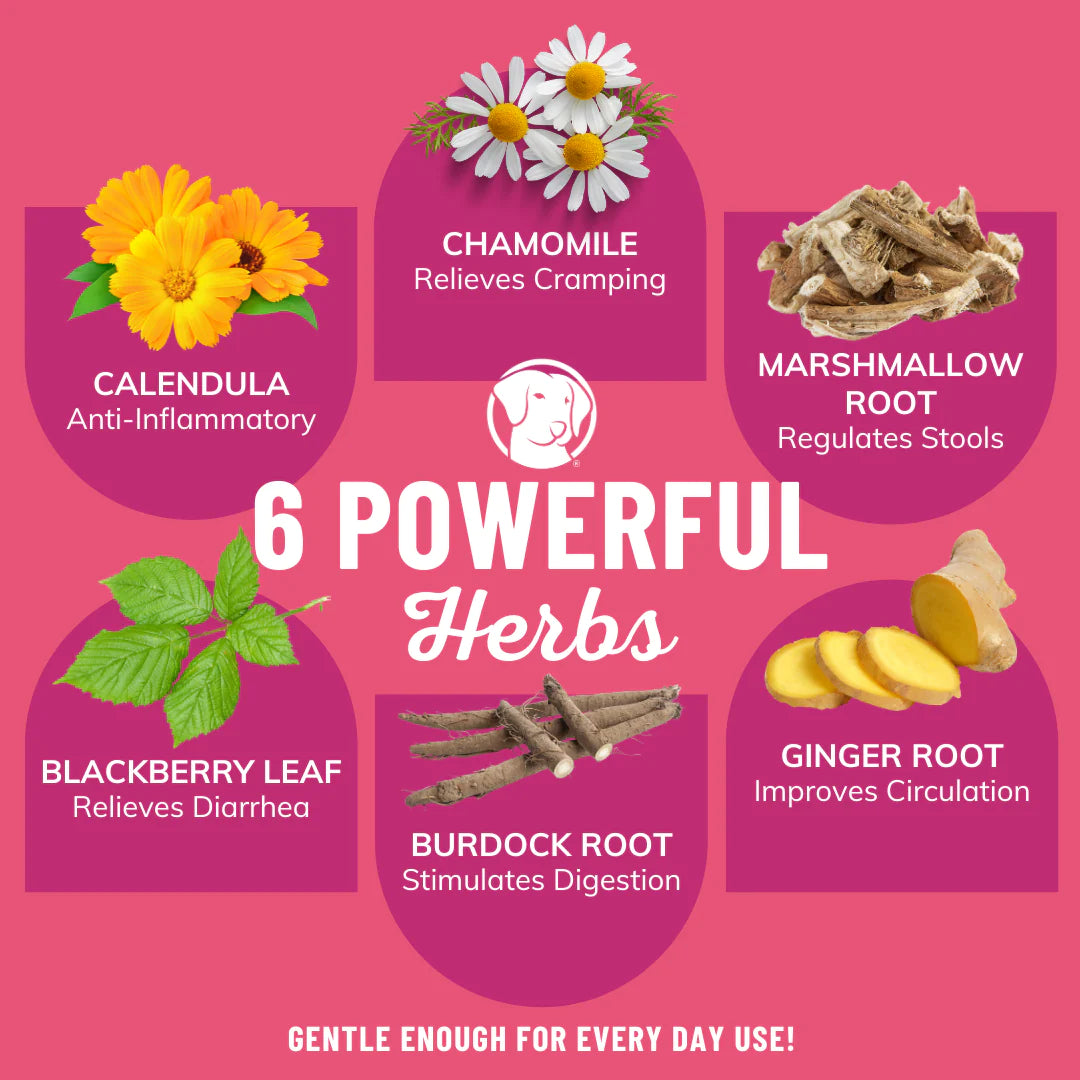 dog supplements 