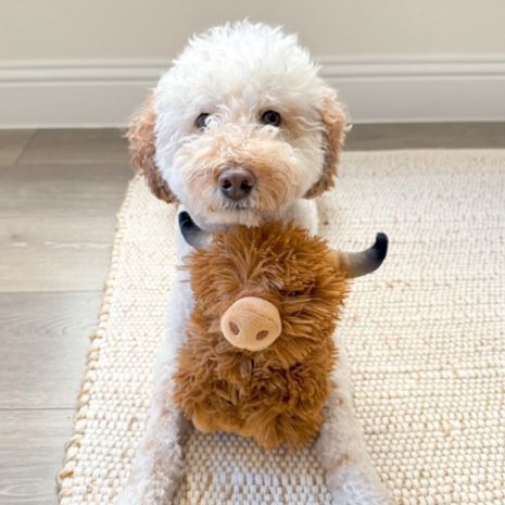 Tall Tails - Plush Highland Cow Dog Toy, 8-inch