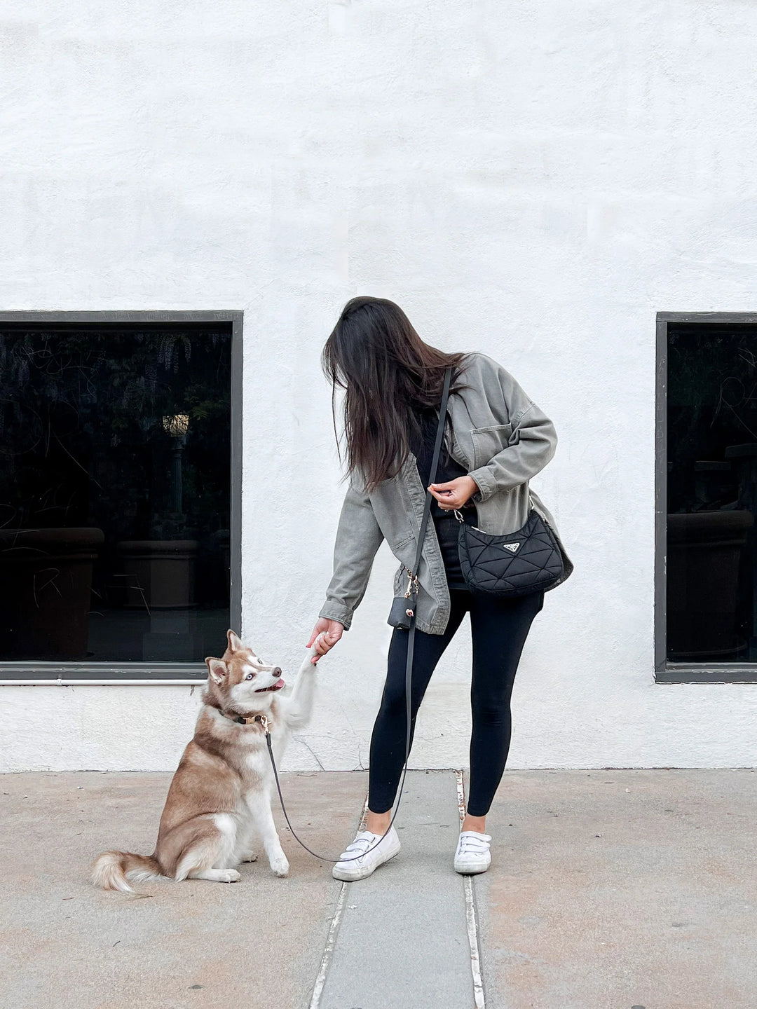 Sunny Tails - 4-in-1 Convertible Hands Free Cloud Dog Leash