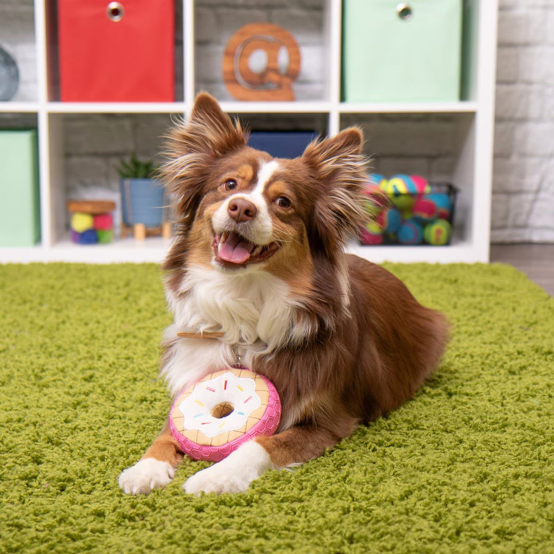 Dog Toy: Tough N Texture Donut 5"