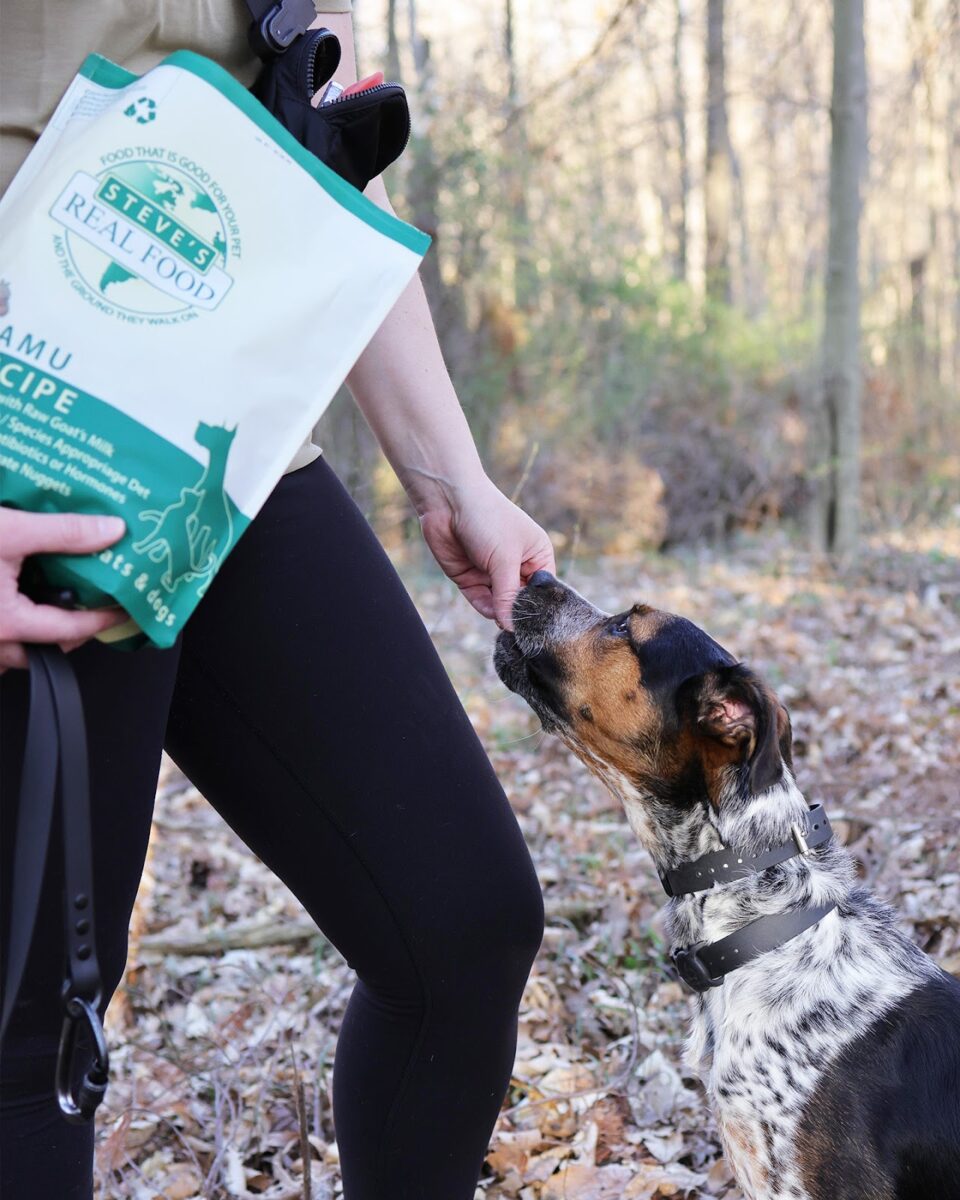 Steve's Real Food: Freeze-Dried Dog Food - Lamu 20oz