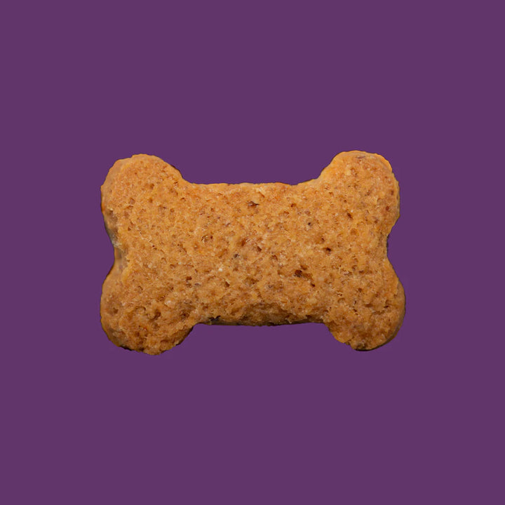 SourDog - The OG: Sweet Potato Sourdough Dog Treats 3.5oz