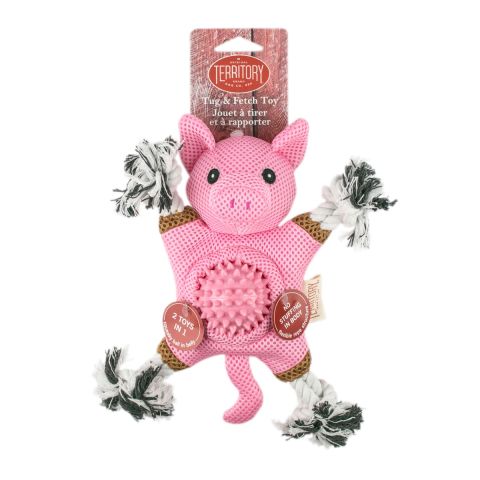Dog Toy: Pig 2-in-1 Toy