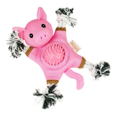 Dog Toy: Pig 2-in-1 Toy