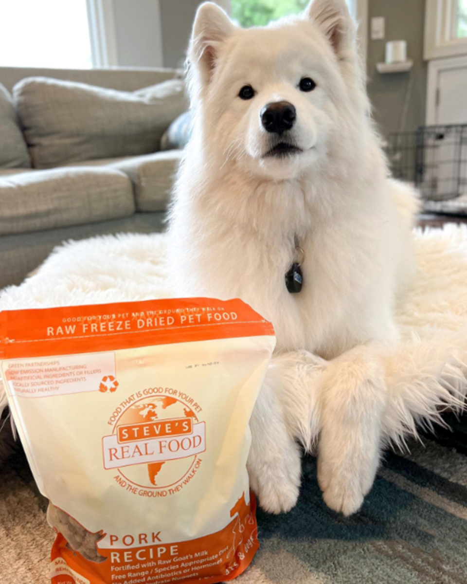 Steve's Real Food: Freeze-Dried Dog Food - Pork 20oz