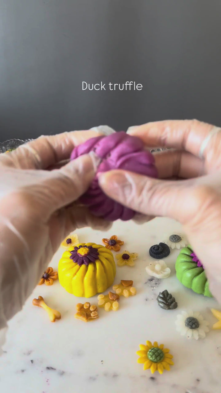 Gourmet Dog Truffles (Single)