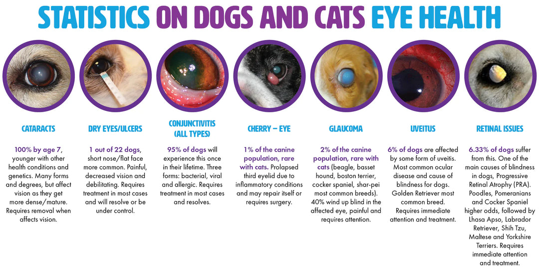 Pet Eyez - Vitamin Powder Supplement: Chicken 8oz