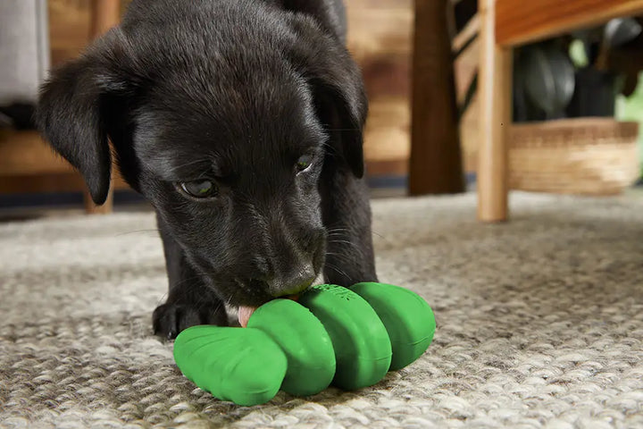 Dog Toy: BARK Cod Almighty Super Chewer