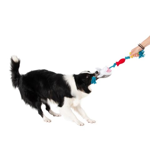 Territory - Floating Shark Rope Dog Toy