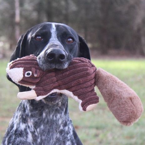 Tall Tails - Squirrel Dog Toy 12"