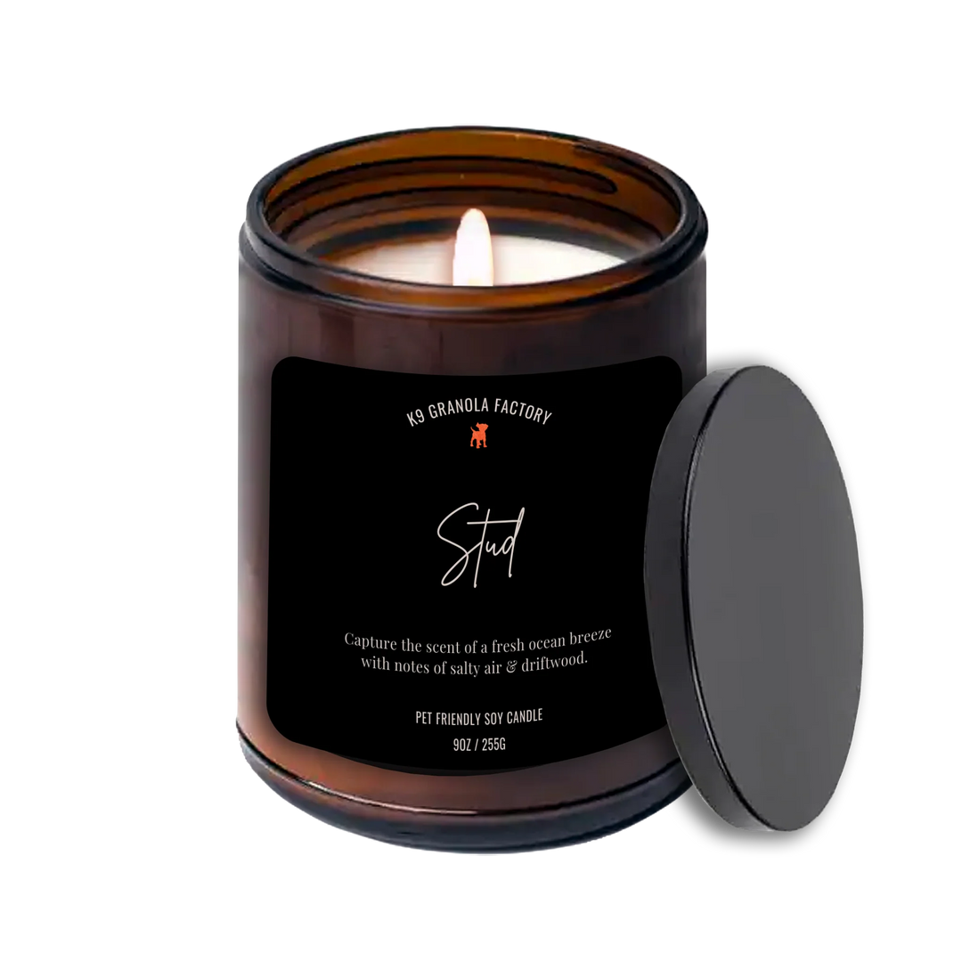 Pet-Safe Candle: Stud 9oz