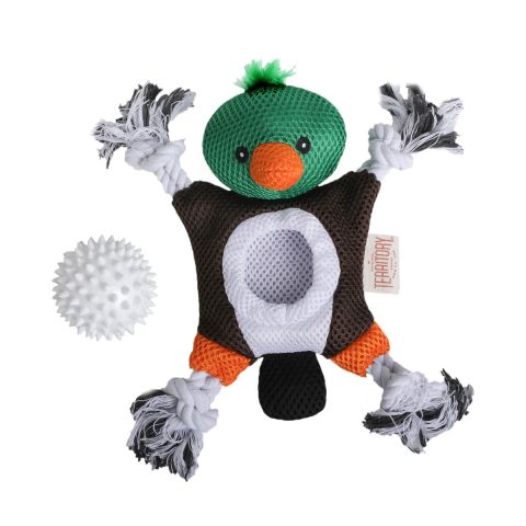 Dog Toy: Mallard 2-in-1 Toy