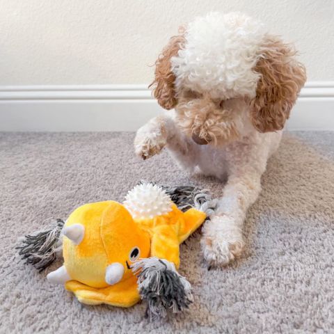Territory - Triceratops 2-in-1 Tug Fetch Dog Toy