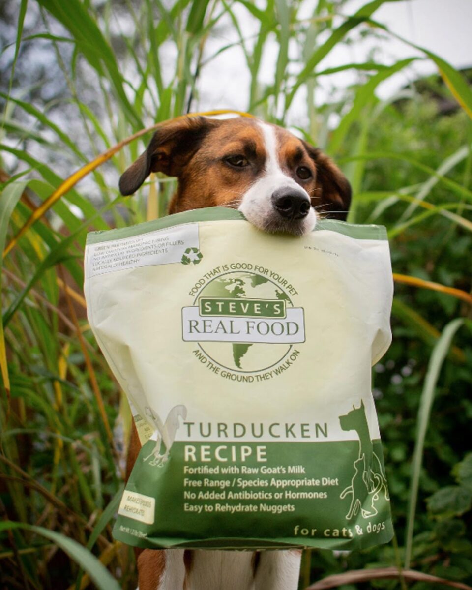 Steve's Real Food: Freeze-Dried Dog Food - Turducken 20oz