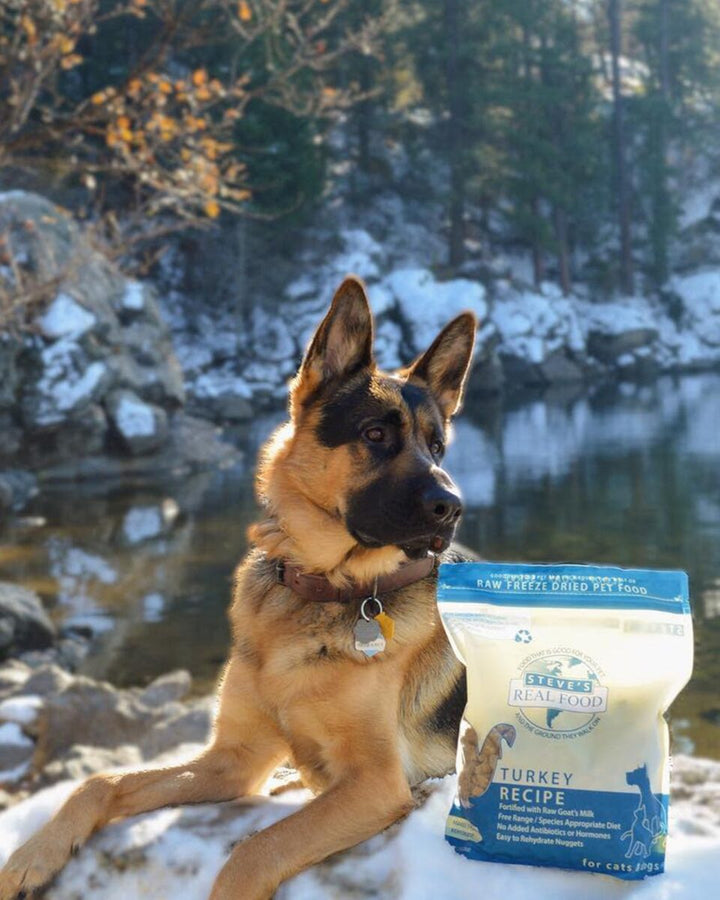 Steve's Real Food: Freeze-Dried Dog Food - Turkey 20oz