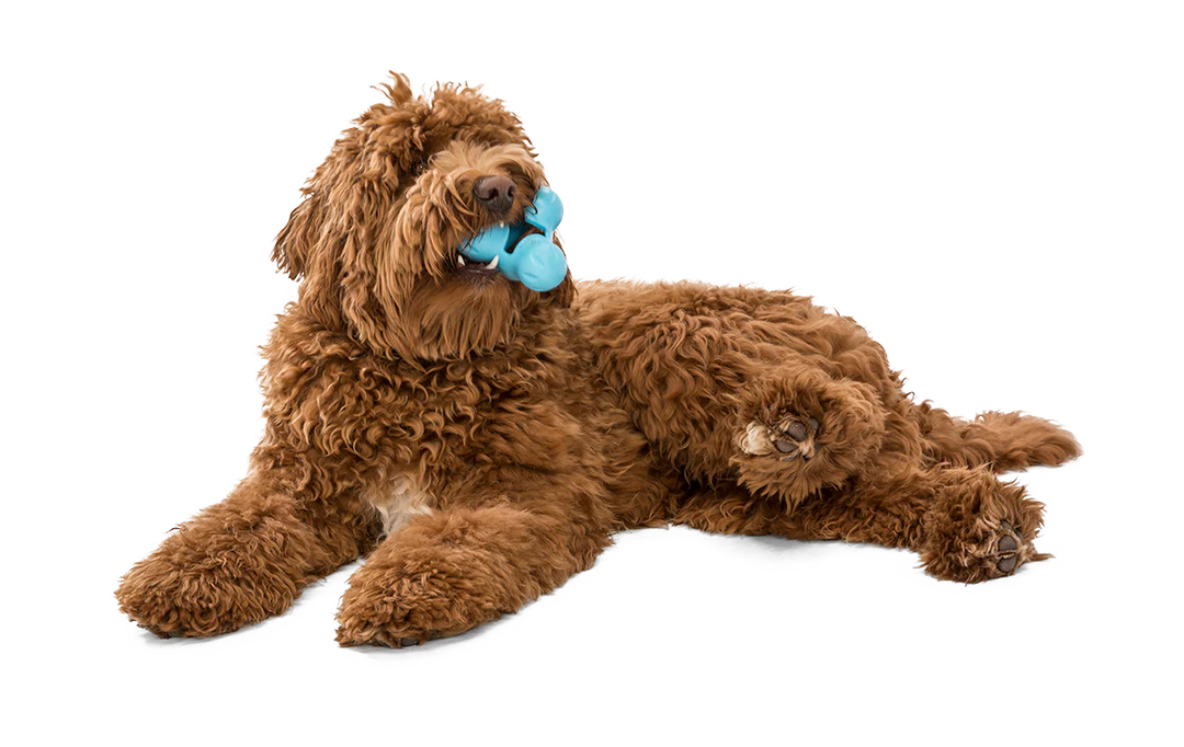 West Paw - Large TUX Treat Toy