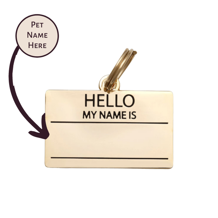 Hello My Name is Blank - Gold - Pet ID Tag