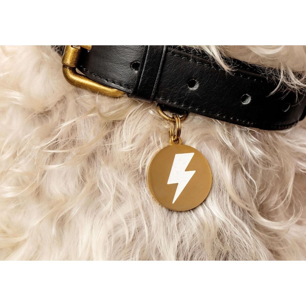 Lightning Bolt - Gold & White - Pet ID Tag