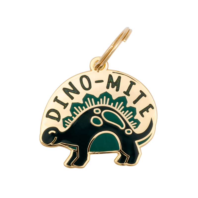 Dino-Mite Pet ID Tag