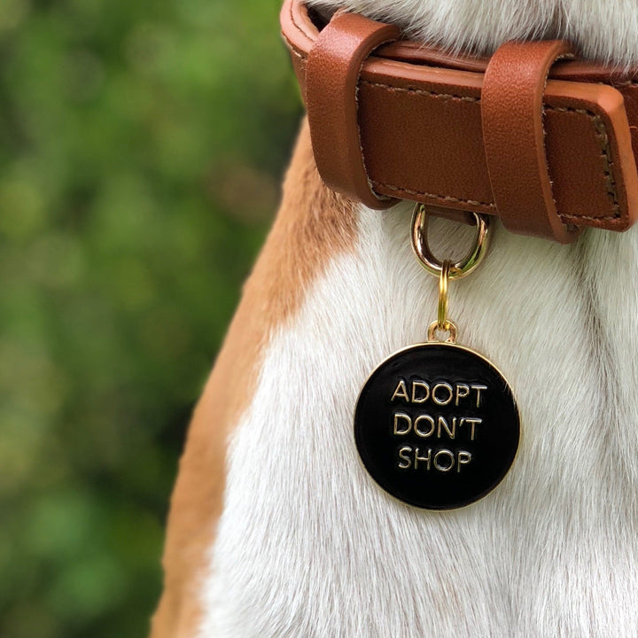 Adopt Don't Shop - Black - Pet ID Tag