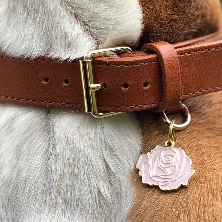 Rose - Gold & Pink - Pet ID Tag