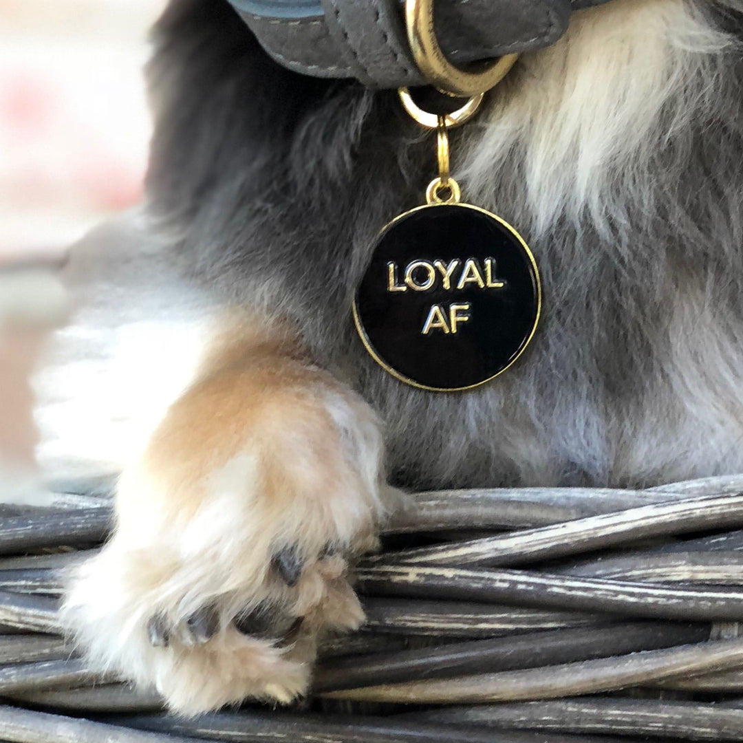 Loyal AF - Black - Pet ID Tag