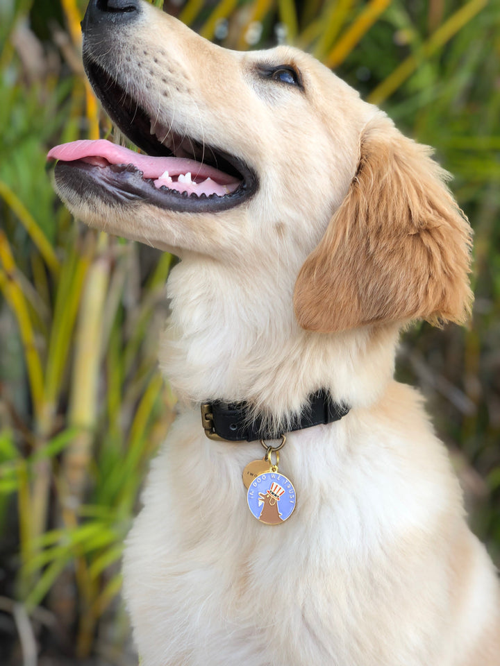 In Dog We Trust Pet ID Tag