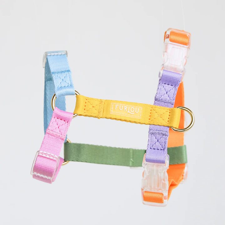 Furlou - Rainbow - Dog Harness