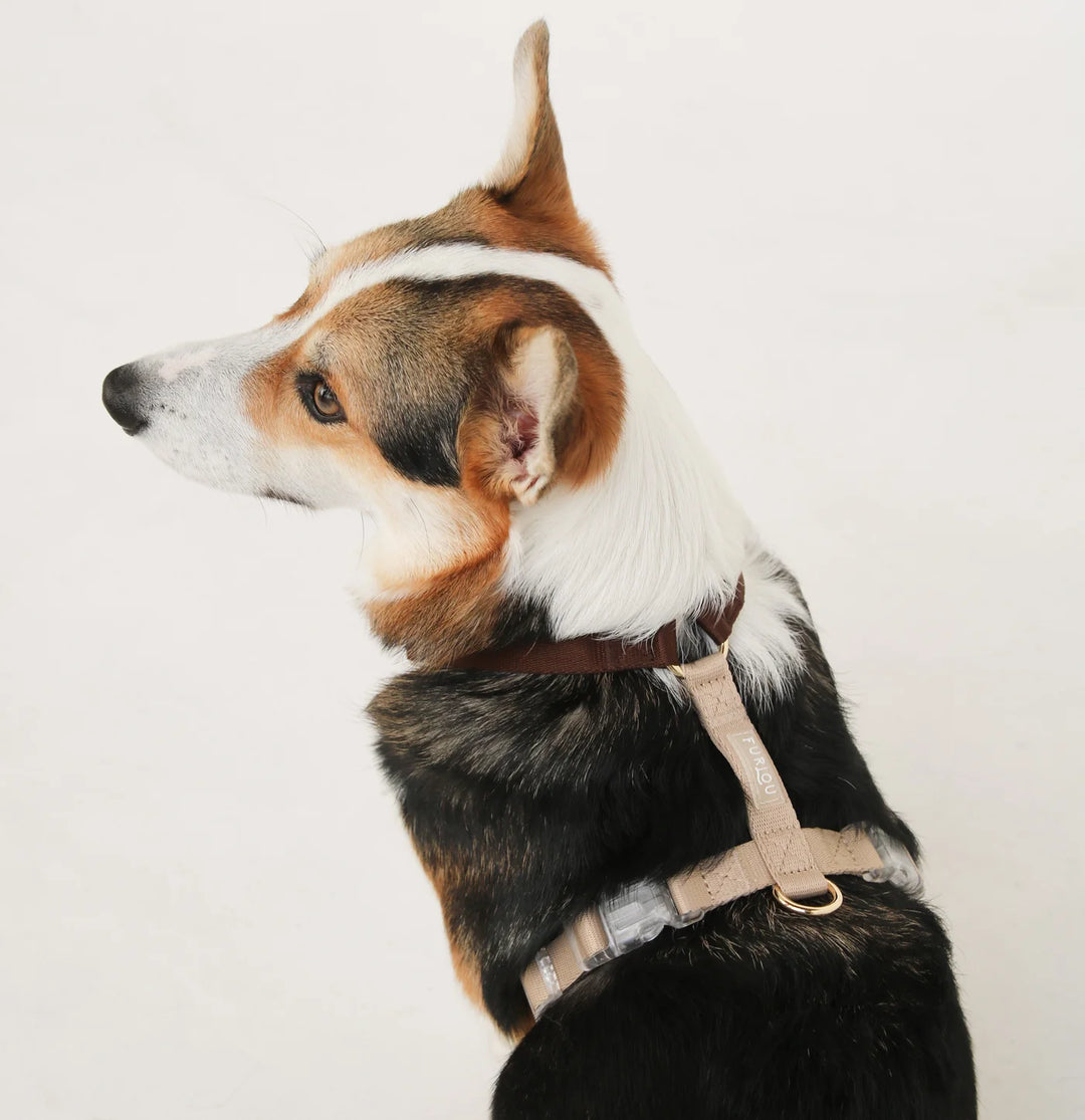 Furlou - Puppaccino - Dog Harness