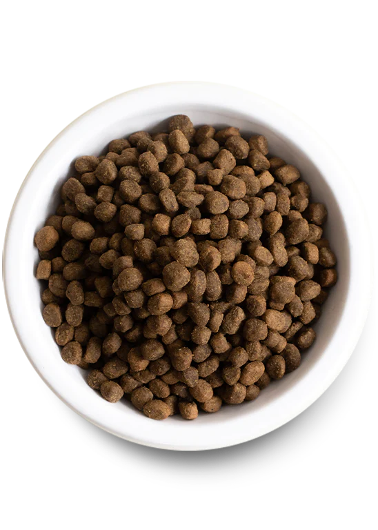 Open Farm - Ancient Grains Grass Fed Beef Dry Dog Food