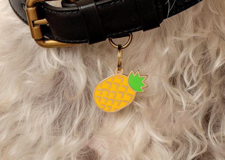 Pineapple Pet ID Tag